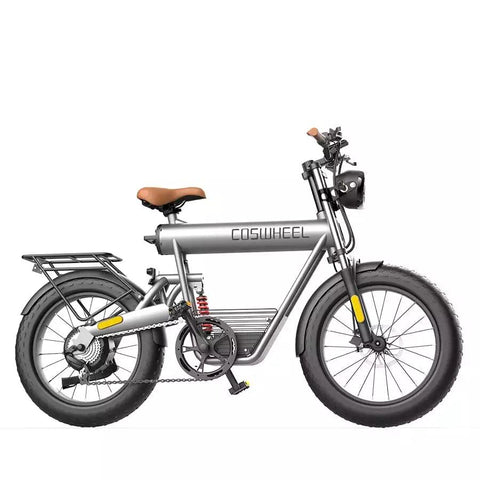 Coswheel T20R Cargo Fat Tire Electric Bike