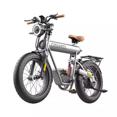 Coswheel T20R Cargo Fat Tire Electric Bike