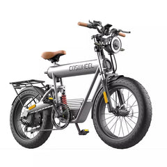 Coswheel T20R Cargo Fat Tire Electric Bike