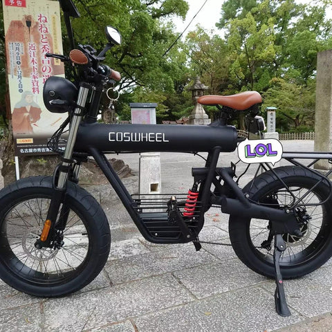 Coswheel T20R Cargo Fat Tire Electric Bike