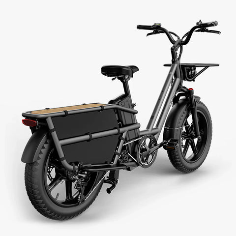 Fiido T2 Longtail Cargo E-Bike - UK - Pogo Cycles