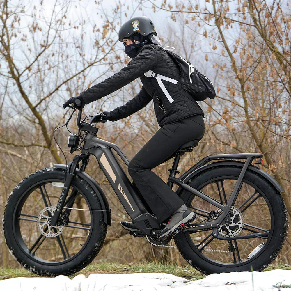 Fiido Titan Robust Cargo Electric Bike-UK - Pogo Cycles