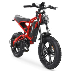 Hidoes B6 Electric Bike