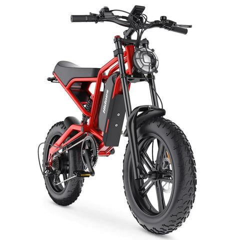 Hidoes B6 Electric Bike